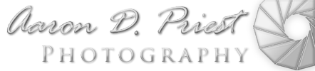Aaron Priest Photography